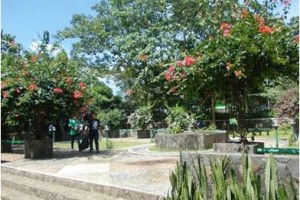 Hutan kota Bungkirit